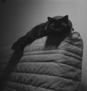 DSC00616full.jpg