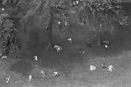 dom sq.jpg dom sq.jpg