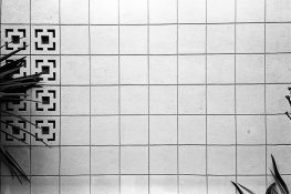 253_AC039.jpg