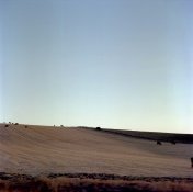 scan0064.jpg