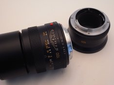 R1106380.JPG