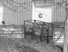 1-Image1 F4 135mm 2.8 Ultrafine X-100 PC-tea-001.jpg 1-Image1 F4 135mm 2.8 Ultrafine X-100 PC-tea-001.jpg