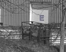 2-Image3-001.jpg 2-Image3-001.jpg