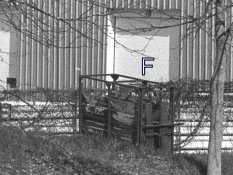 6-Image11-001.jpg 6-Image11-001.jpg