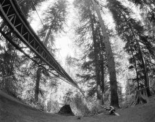 Drift Creek Suspension Bridge #2.jpg