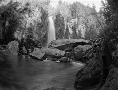 Drift Creek Suspension Bridge #3.jpg
