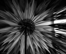 ImageUploadedByTapatalk1430890140.771618.jpg ImageUploadedByTapatalk1430890140.771618.jpg