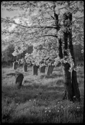 scan0007.jpg