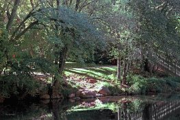 Creek @ Los Abrigados  .jpg