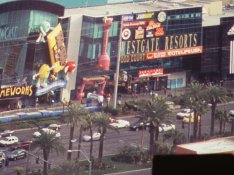 R0015248.JPG