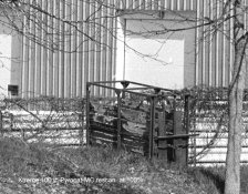 1-IMG53Xtreme 100 Pyrocat-MC rescan-001.jpg 1-IMG53Xtreme 100 Pyrocat-MC rescan-001.jpg