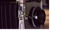 speed.trip.new.photo_zpswbpsqnpy.png speed.trip.new.photo_zpswbpsqnpy.png
