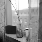 Hasselblad_Acros_Monobath1611.jpg