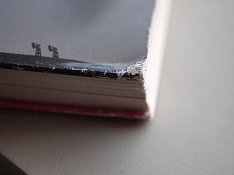 P1014107.JPG