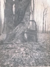 WWPD 15 Titan Pinhole Foma 100 Arista Lith Black Magic.jpg