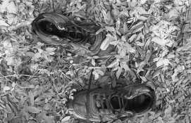 ee for APUG.jpg ee for APUG.jpg