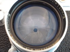 R1106412.JPG