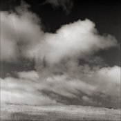 near Schaefer Ranch, Dublin, CA RolleiflexSL66 80Planar 150Sonnar red filter FujiAcros Rodinal1-.jpg