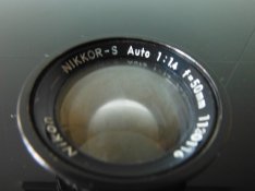DSCF2037.JPG