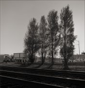 West Berkeley near RR tracks Rolleiwide 55f4Distagon IlfordFP4plus D-76 1-1 10min 20C 1minAg2x 2.jpg