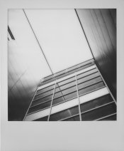 IMG.jpg