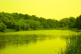 100_0168.jpg
