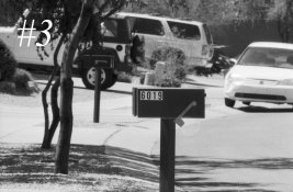#3.1 ref Arista400@1600 Neg16-8bNFHP5400 Auto 247.0 PicSet 7.0 +ME copy.jpg