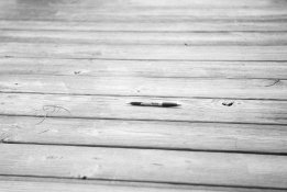 20150529-01 TriX 400 HC110-E IIIc 01.jpg