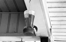 20150529-01 TriX 400 HC110-E IIIc 09.jpg