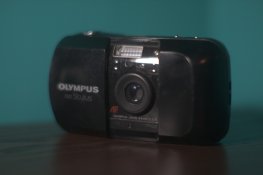 IMG_2221.jpg
