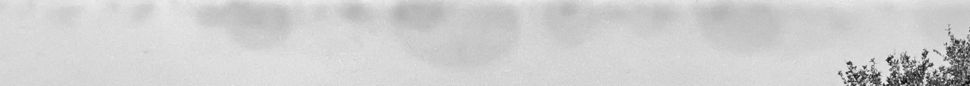 ck neg strip of bad spots.jpg