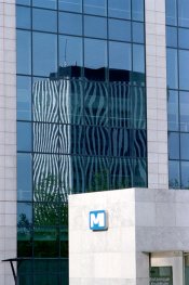 zebra_0008.jpg