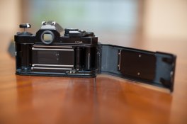 DSC_0350_WebSize.jpg