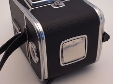 R1106465.JPG