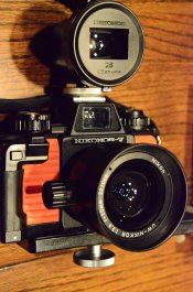 DSC_1619.jpg