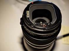 P3182673 as Smart Object-1.jpg