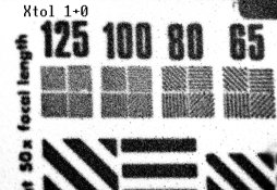 TMX Xtol 1+0.jpg