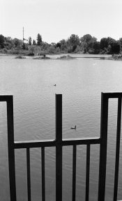 Konica iii 125 s.jpg