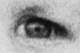2_Scan.jpg
