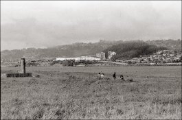 Ben Berkeley Marina ContaxG2 90+45Planar IlfordHP3(400) at 50 HC-110dilH 7min15sec 22C 1minAgRol.jpg