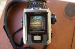 _DSC1213SM_DxO_DxO.jpg