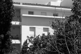 TMAXdev_neopan100.jpg