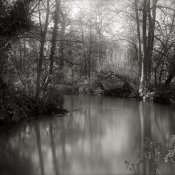 Derbyshire Wye - By Ogden Island.jpg