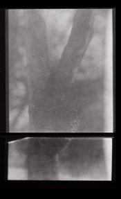1118sm.jpg