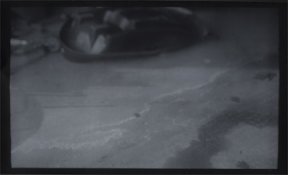 Untitled-7sm.jpg