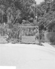 4x5 test swing (Custom).jpg