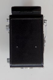 DSC_1104.JPG