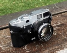 LeicaMP_1024_oded.jpg