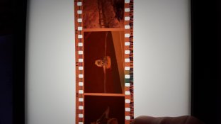 20150624_173947.jpg