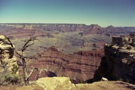 2011_04_14_zion_35mm039-XL.jpg